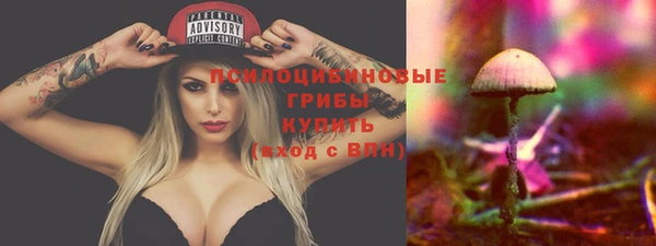 каннабис Алзамай
