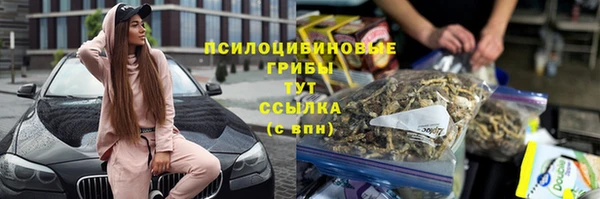 a pvp Козловка