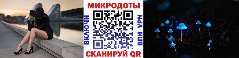 как найти   Муравленко  Псилоцибиновые грибы Psilocybine cubensis 